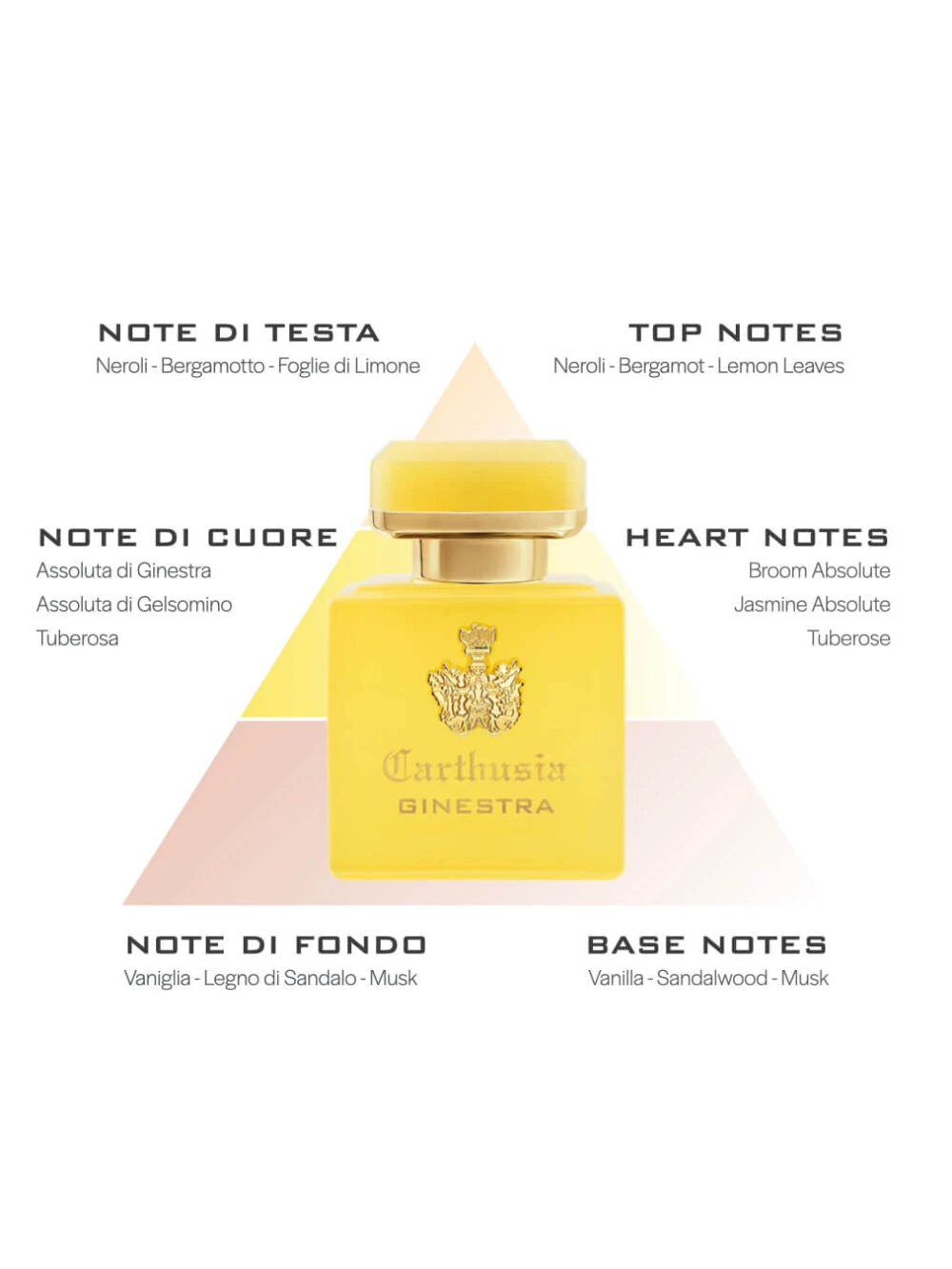 Carthusia Profumo Intenso Di Ginestra 50 Ml 3 Carthusia Profumo Intenso Di Ginestra 50 Ml - immagine 3