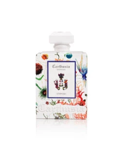 Carthusia Domus A Mmare Diffusore Per Ambiente 480ml Aromatico