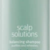 Shampoo Riequilibrante Aveda Scalp Benefits 1000 Ml
